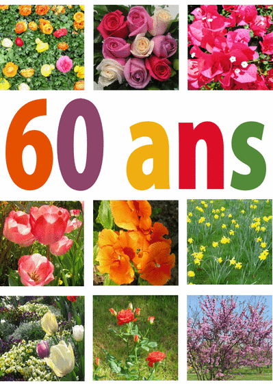 Carte Plein De Fleurs Pour Les 60 Ans : Envoyer une Carte 